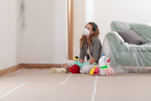 Reliable Mold Remediation contractor in Nolensville, TN by WQB Mold Removal